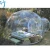 Import outdoor clear inflatable camping bubble tent for sale from China