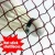 Import Outdoor Indoor Backyard Garden Schoolyard Tournament Badminton Net from China