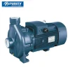 PC Centrifugal Pump with Thread Port Electric Water Pump from Purity