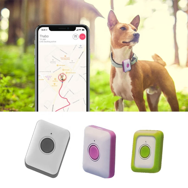 pet animal gps tracking cat tracker dog with collar &amp; app
