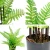 Import plants artificial fern leaves tree plastic bonsai tree from China