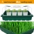 Import Plastic Nursery Seeding Trays with Humidity Dome and 48 Cells Seed Starting Tray from China