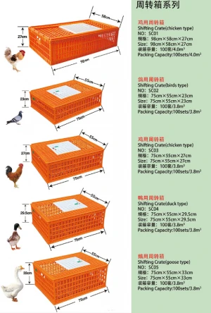 Plastic Shifting Crate For Poultry Farm Higth Quality