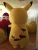 Import pokemon pikachu mascot costume from China