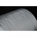 Polyester RipCord  (Polyester yarn, tearing rope, rip cord.)