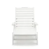 Popular Modern Beach Sun Lounger Weather Resistant And Recycled Outdoor HDPE Chaise Lounge Chair