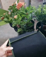 Potato Tomato Planting Grow Seedling Bags For  plant grow bags