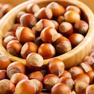 Premium Quality Raw Hazelnut / Organic Grade Hazelnut
