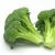Import !!!Premium Quality vegetable wholesale frozen fresh broccoli Available from Belgium