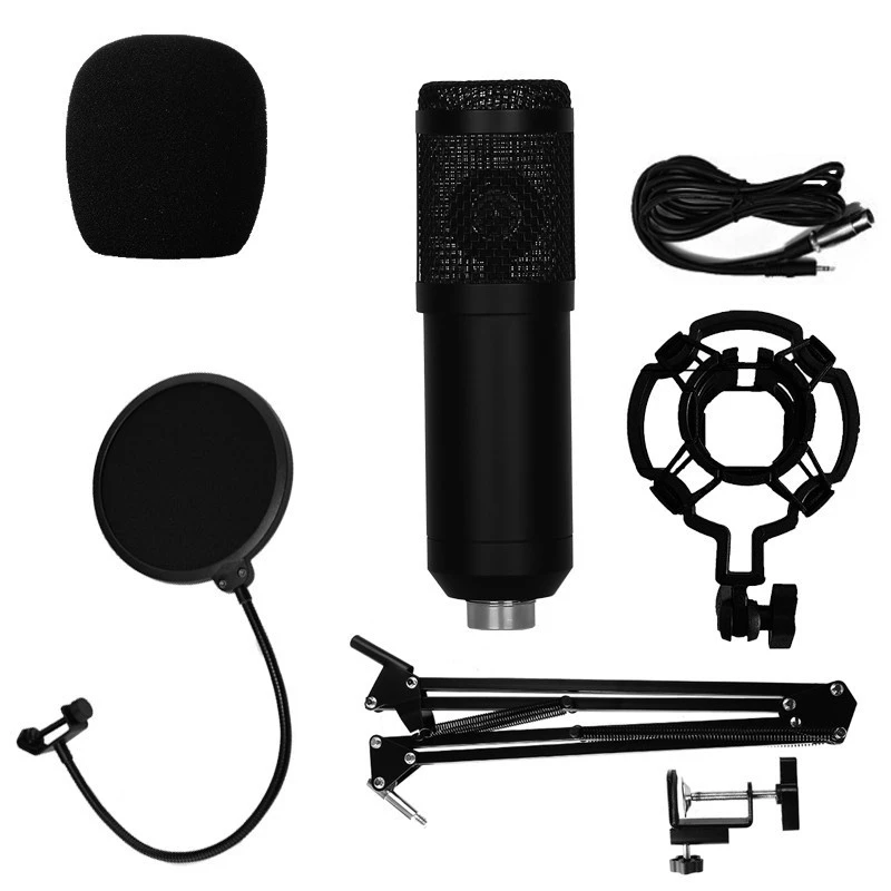 Professional Set Large Diaphragm  Recording Condenser Body Microfono Mini Diy Small Tube 800 Condenser Microphone