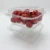 Import Promotional High Quality Frozen Salad Clamshell Plastic Fruit And Vegetable Tray from China