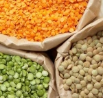 Quality Red Lentils