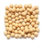 Quality soya bean meal for animal