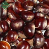 raw processing Chinese chestnuts for sale