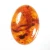 Import Real BALTIC AMBER Pear Cabochon Loose Beads Gemstone Exporter from India