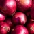Import Red fresh onion manufacturer from China from China