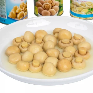 Sale Hottest Shipping Fast Fresh Whole Mushroom Canned Mushroom Whole Can Package With Tin