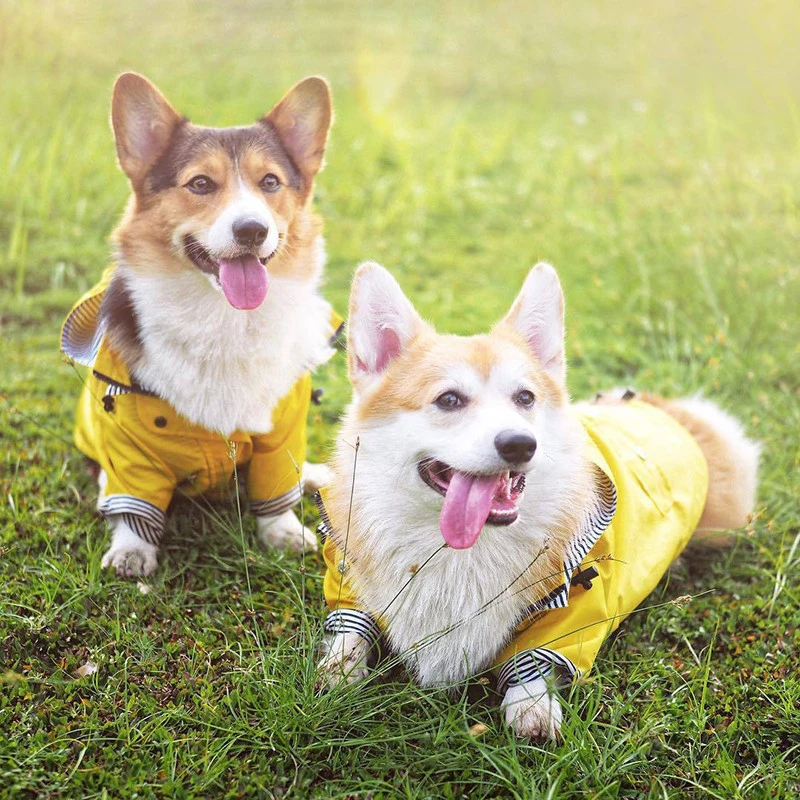 Sale Polyester Material 2020 Pet Yellow Windproof Rainproof Jacket Dog Apparel