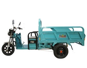 Shenzhen factory electric tricycle for adult/cargo tricycle/motorcycle for loading
