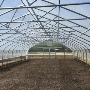 Single-Span Greenhouses Plastic Shed Material Agriculture greenhouse