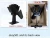 Import Smart Wood bruning Stove Fan  with 2 blades from China