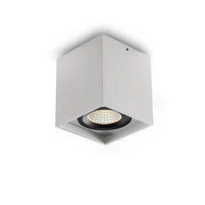 Square double head COB 2X5w indoor led surface ceiling light