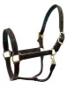 Stitched Padded Leather Halter