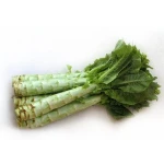 Strong Body,Long Shape,Big Asparagus Lettuce