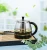 Import Stylish modern heat resistant glass tea pot from China