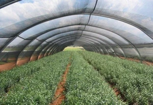 Sun-shade net factory direct shade net high quality hdpe greenhouse agriculture shade net
