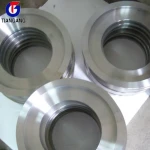 TA11 TA12 Titanium forged ring