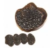 Taste of perigord truffle buy price whole part dried for sale