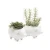 Import Tendely Bulk Recycled Pig Design Ceramic Aquatic Plant Nursery Flower Pot from China