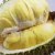 Import Thai Longan + Durian Freeze Dried Fruit from China