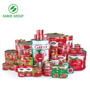 Tomato Paste Ketchup Best Price with Canned Package