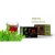 Import unisex gender Vitamins/Organic 2g*20 sachets box packaging moringa herbal slimming tea in flavor tea from China