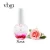 Import Victoria Beauty VBG Nails dry flower nail cuticle oil nail care oil from China