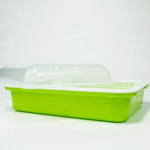 water planting plastic  polystyrene heat preservation seedling tray nursery sprout trays price planting pot