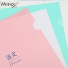 Wengu Manufacture Wholesale Printed Custom Cute Design Report Cover Spine Bar A4 Size Pp File Folder