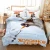 Import Whole Size Duvet Cover FROZEN 1 Bedding Set Children Bed Sheet Sets from China
