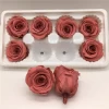 Wholesale 4-5cm colorful preserved roses flowers eternal flowers for home decorations flowers