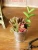 Import Wholesale artificial plants, home decoration from China