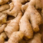 Wholesale Canadian organic ginger in Fresh Ginger/ Peeled Ginger/Dry ginger