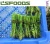 Import Wholesale China FROZEN GREEN ASPARAGUS FOR SALE from China