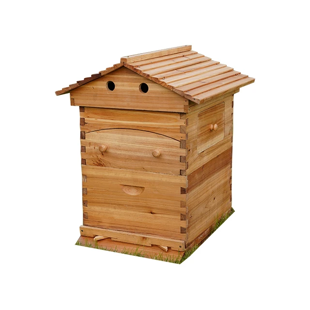 wholesale drop shipping apicultura hive for bees animal husbandry equipment