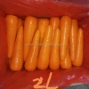 Wholesale fresh juicy crispy delicious carrots vegetable