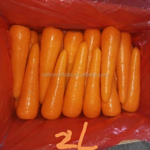 Wholesale fresh juicy crispy delicious carrots vegetable