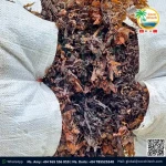 WHOLESALE NEW SEASON MANY TYPES OF DRIED SEAWEED IN DAILOCVINA