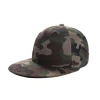 Wholesale new style camouflage hip-hop hats 3d embroidered snapback ca[s
