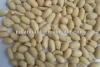 wholesale peanuts in shell